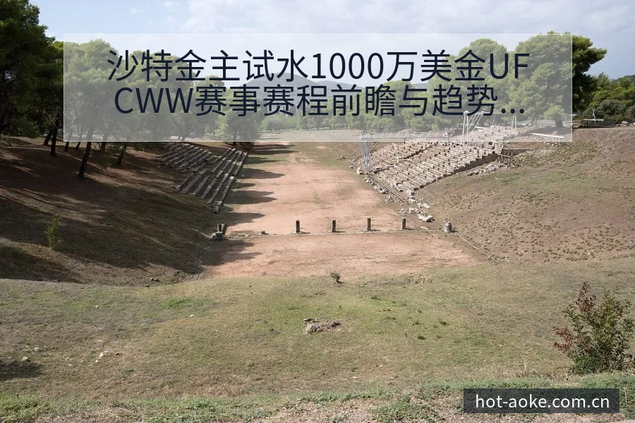 沙特金主试水1000万美金UFCWW赛事赛程前瞻与趋势观 - 澳客